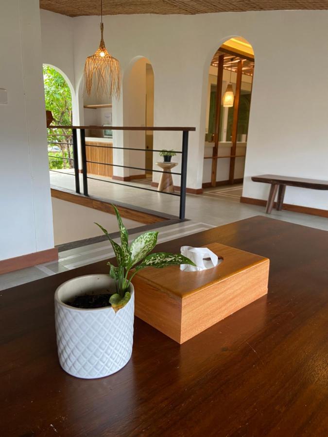 White Penny Hostel سمينياك المظهر الخارجي الصورة